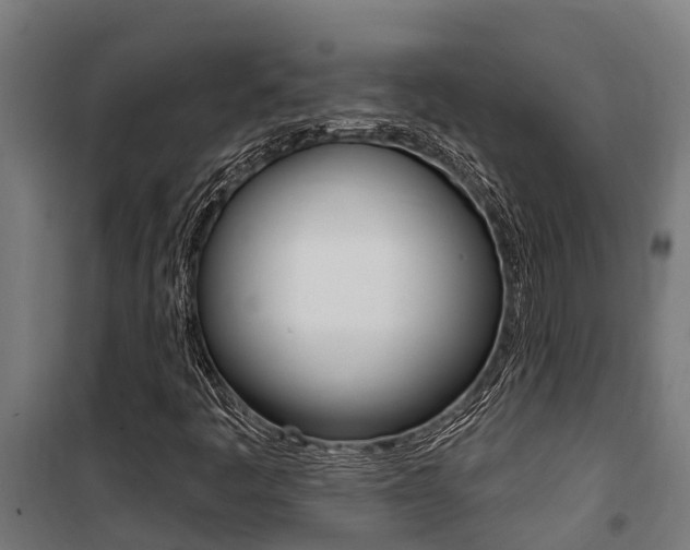 X0000100751445200806190812