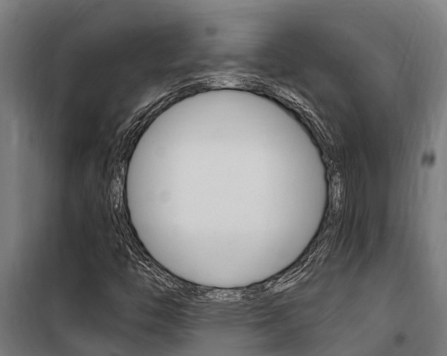X0000100751446200806190812