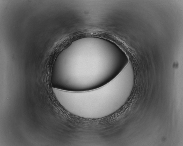 X0000100751447200806190812