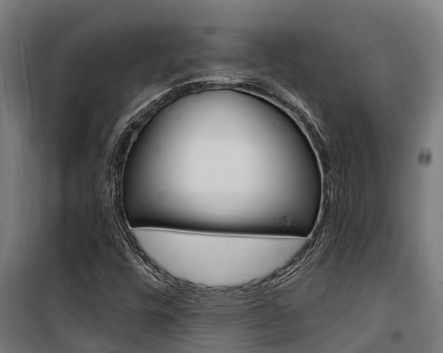 X0000100751448200806190812