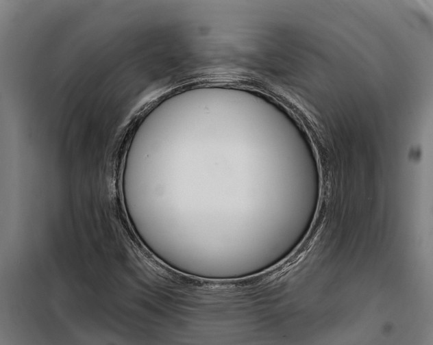 X0000100751451200806190812