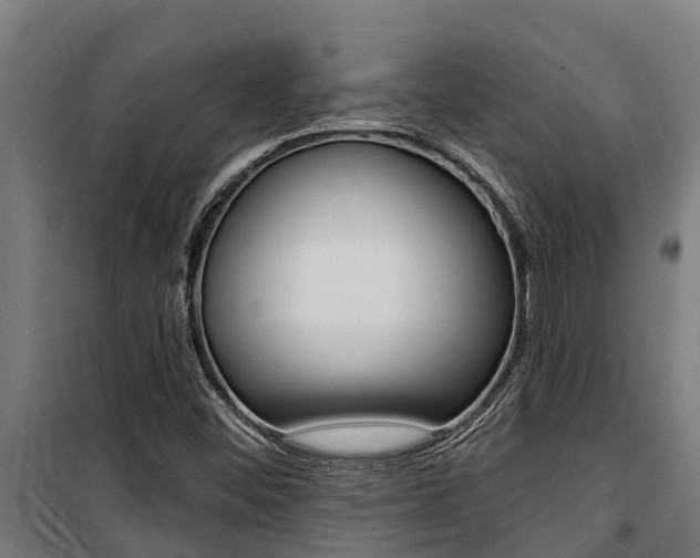 X0000100751452200806190812