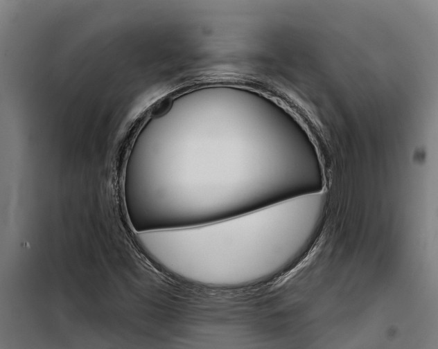 X0000100751453200806190812