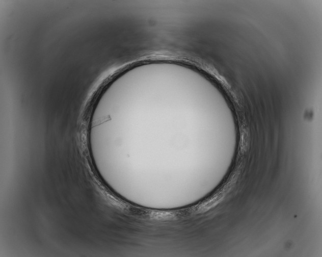 X0000100751454200806190811