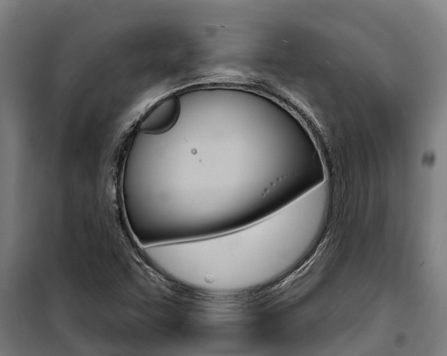 X0000100751455200806190811