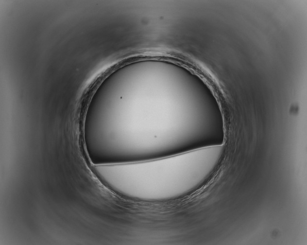 X0000100751456200806190811