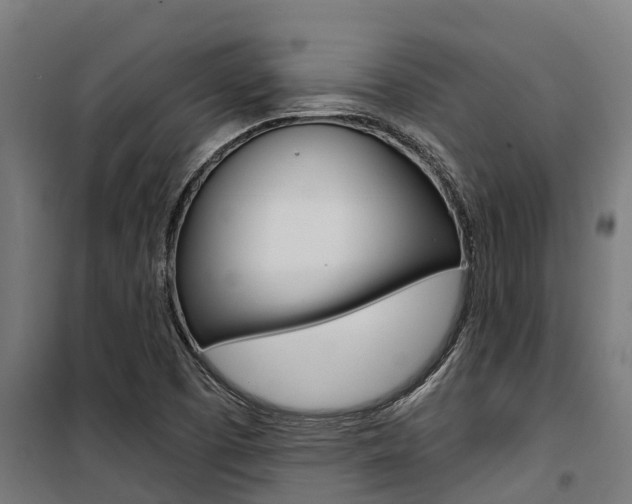 X0000100751457200806190811