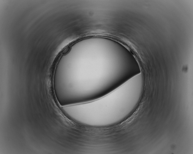 X0000100751458200806190811