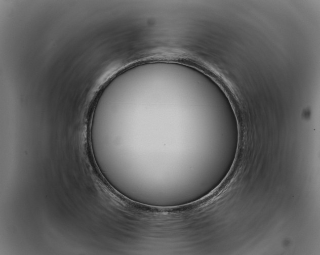X0000100751459200806190811