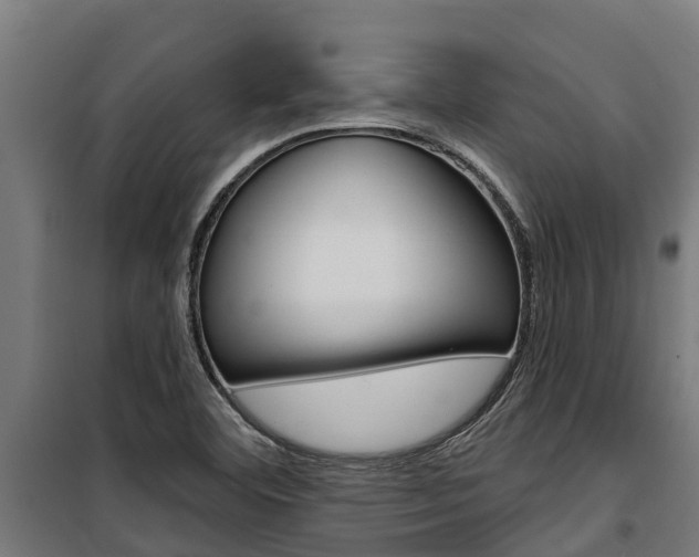 X0000100751460200806190811