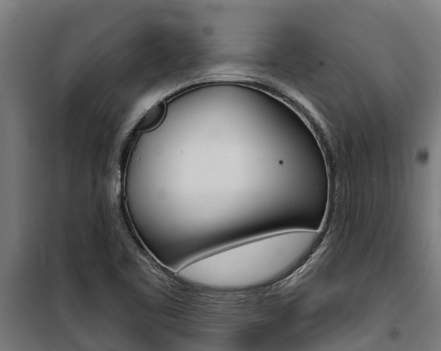 X0000100751461200806190811