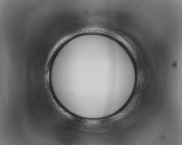 X0000100751462200806190811