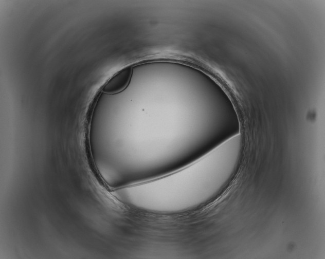 X0000100751463200806190811