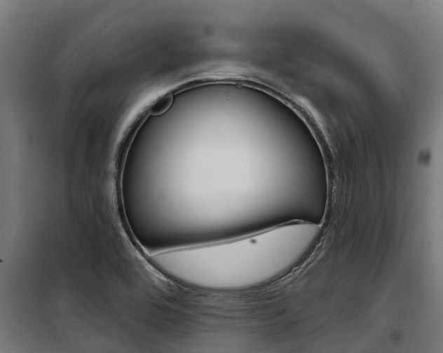 X0000100751464200806190811