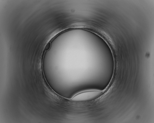 X0000100751465200806190811