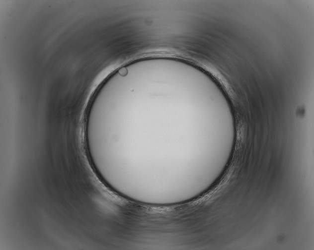 X0000100751466200806190811