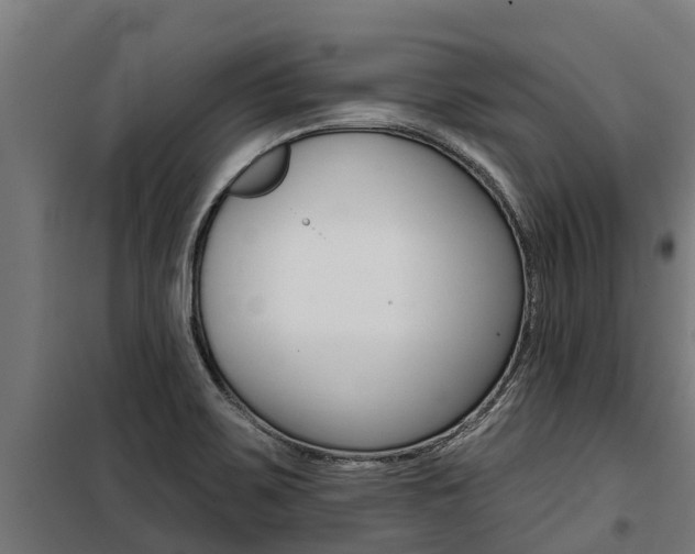 X0000100751467200806190811