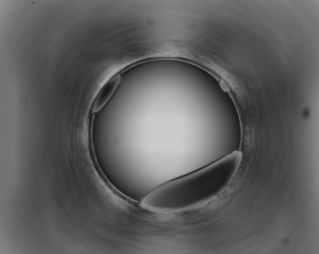 X0000100751468200806190811