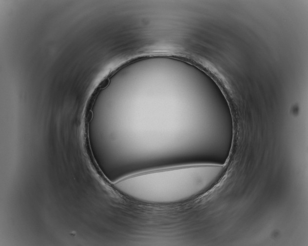 X0000100751469200806190811