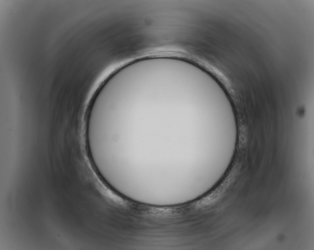 X0000100751470200806190811