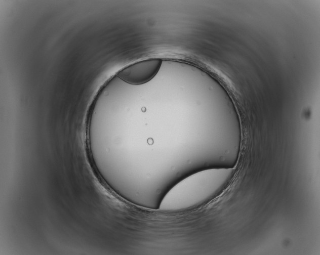 X0000100751471200806190811