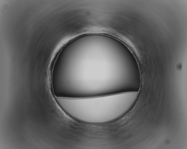 X0000100751472200806190811