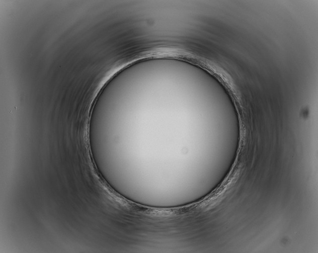 X0000100751473200806190811