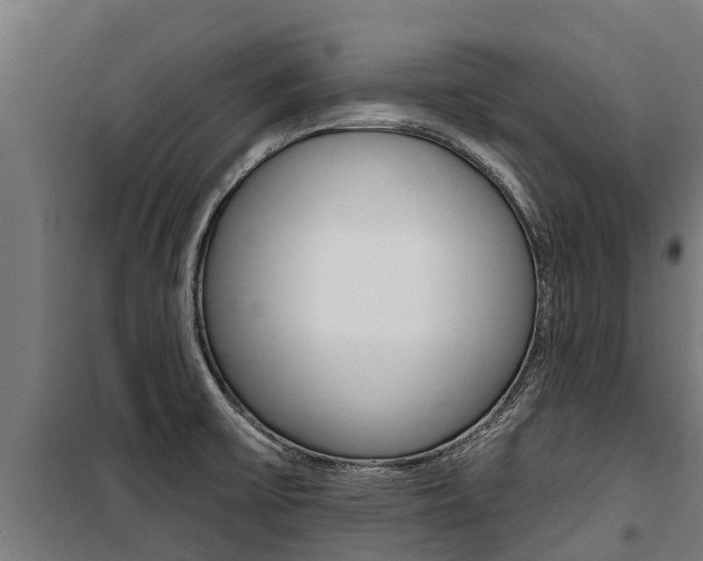 X0000100751475200806190811