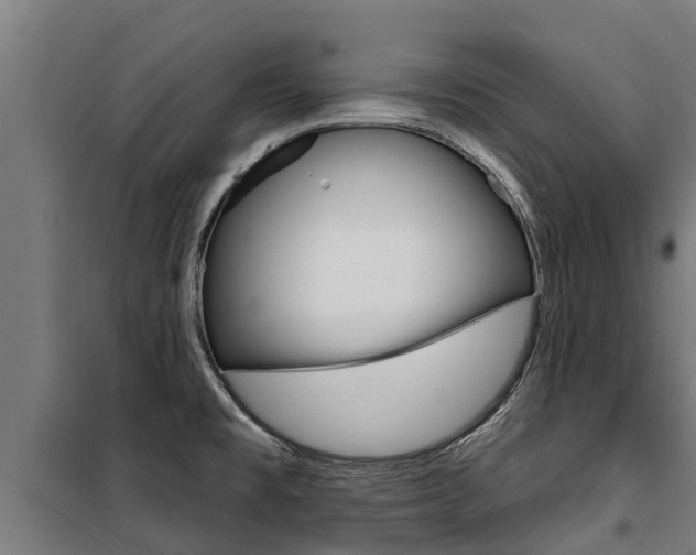 X0000100751477200806190811
