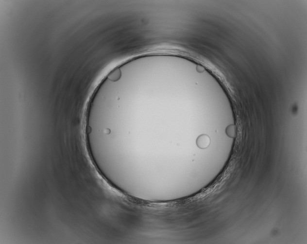 X0000100751478200806190811