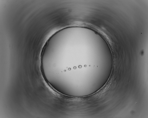 X0000100751479200806190811
