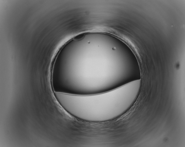 X0000100751480200806190811