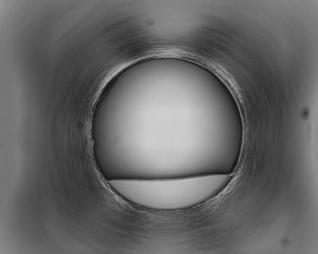 X0000100751481200806190811