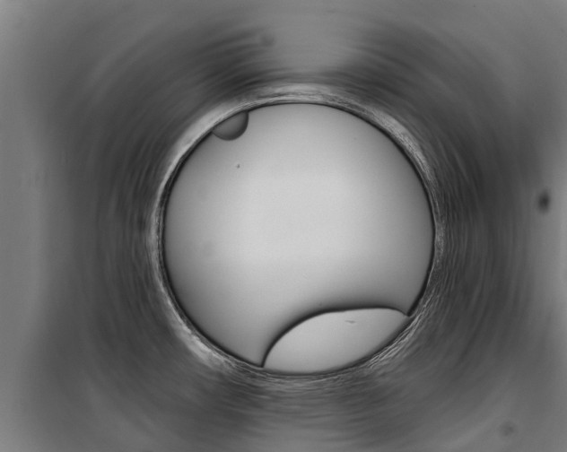 X0000100751482200806190811