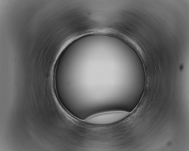 X0000100751483200806190811