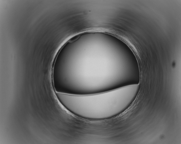 X0000100751484200806190811