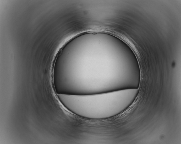 X0000100751485200806190811