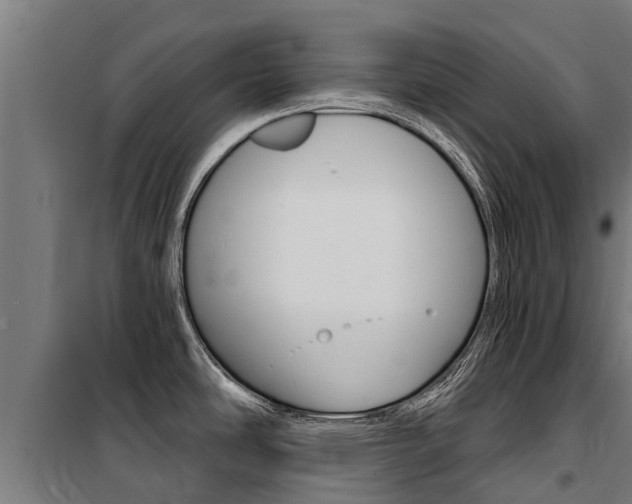 X0000100751486200806190811