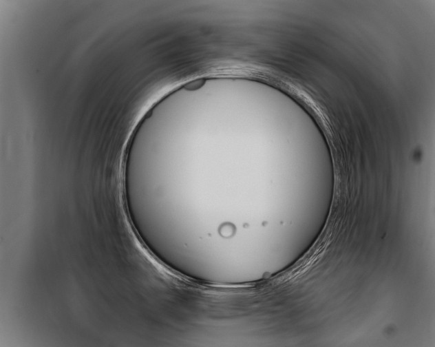 X0000100751487200806190811
