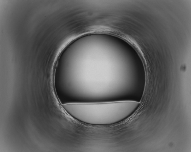X0000100751488200806190811