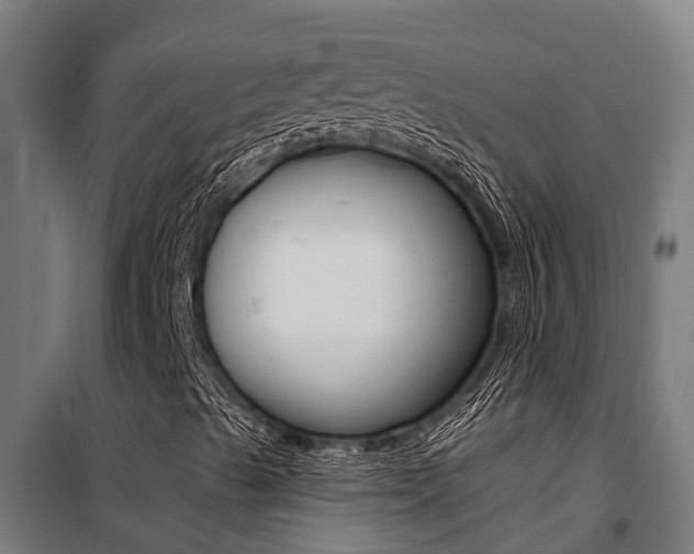 X0000100751489200806190810