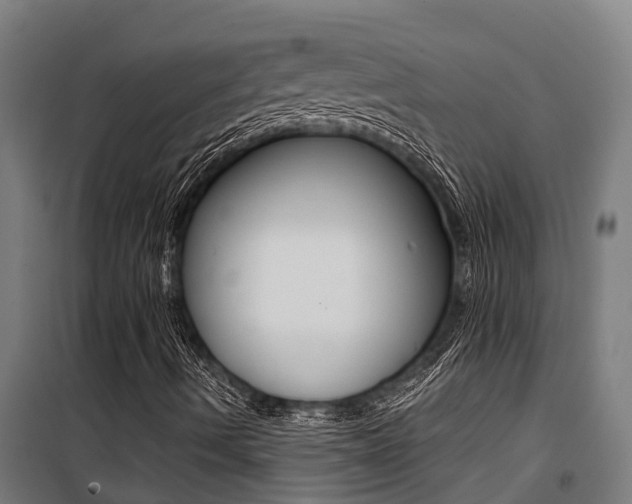 X0000100751490200806190810