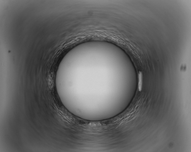 X0000100751491200806190810