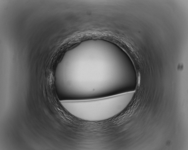 X0000100751492200806190810