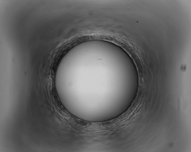 X0000100751493200806190810