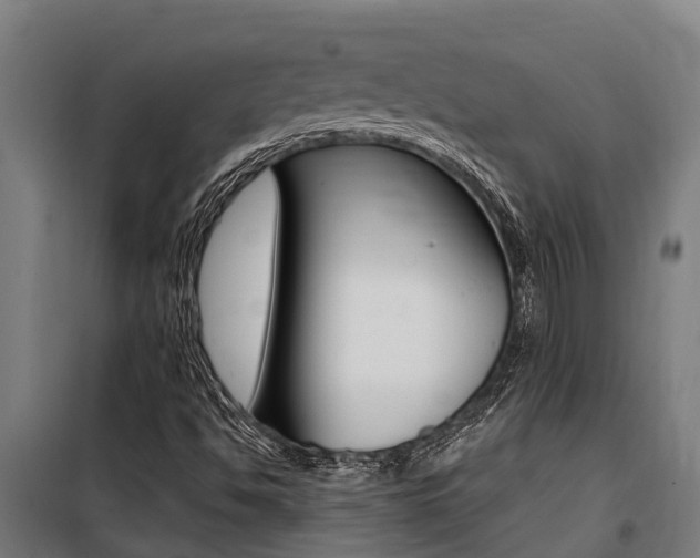 X0000100751494200806190810