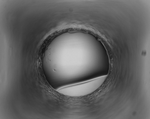 X0000100751495200806190810