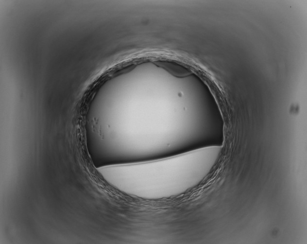 X0000100751496200806190810