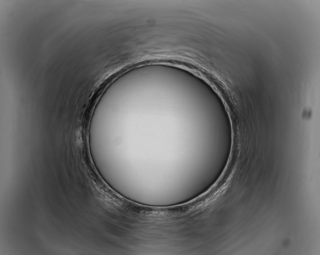 X0000100751497200806190810