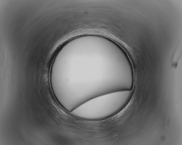 X0000100751498200806190810